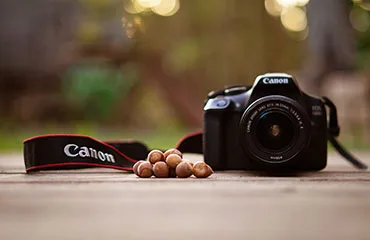 PG
